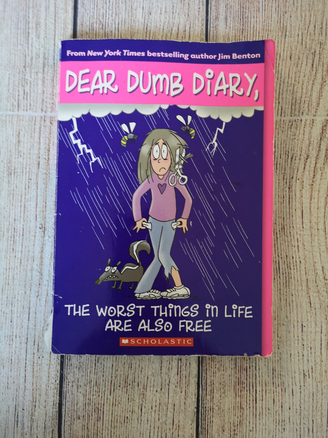 Dear Dumb Diary - The Worst Things In Life Are Also Free