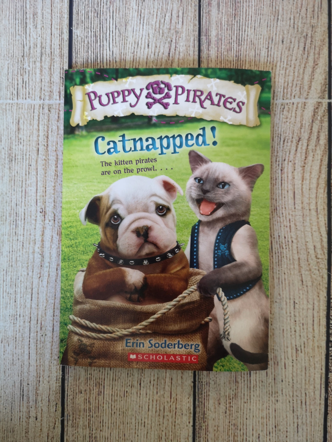 Puppy Pirates Catnapped