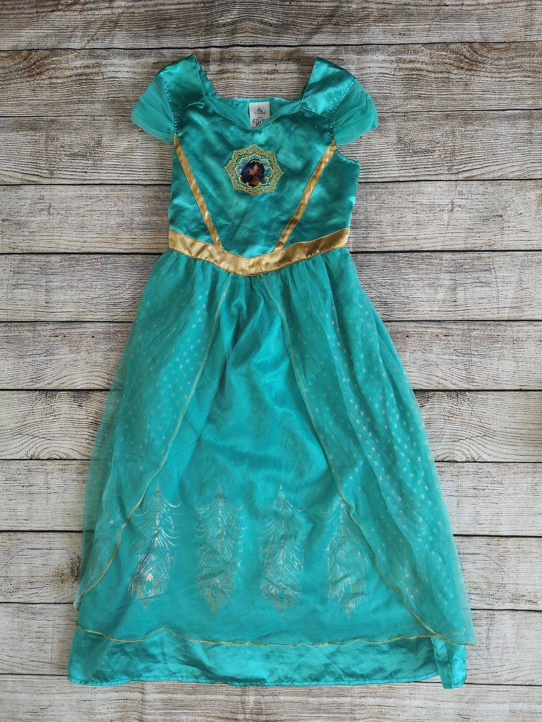 Disney 9/10 Jasmine Dress