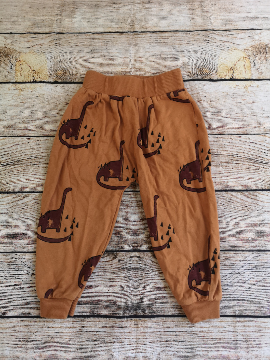 Boys 3 Dino Jogging Pants