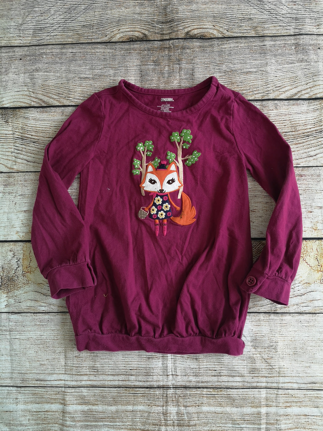 Gymboree 4 LS