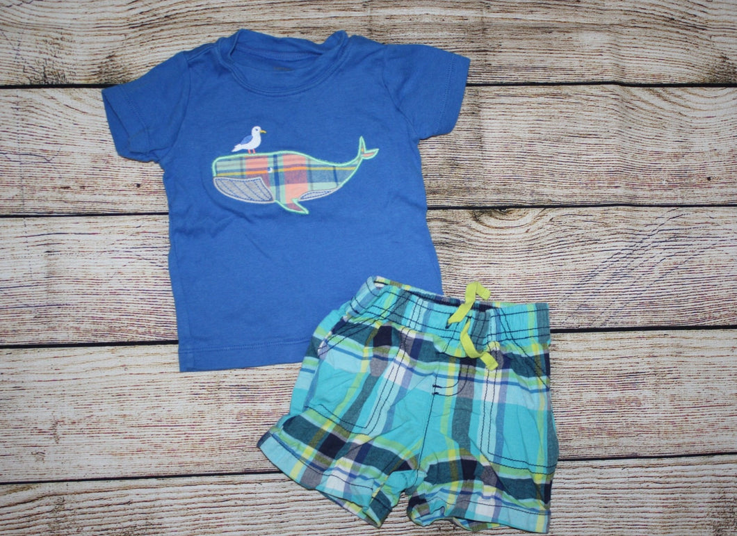 Carters 9M T-Shirt and Shorts