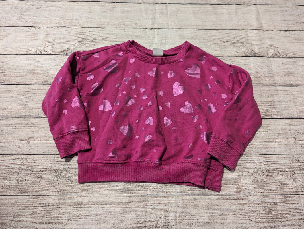 Gymboree 4 Sweatshirt