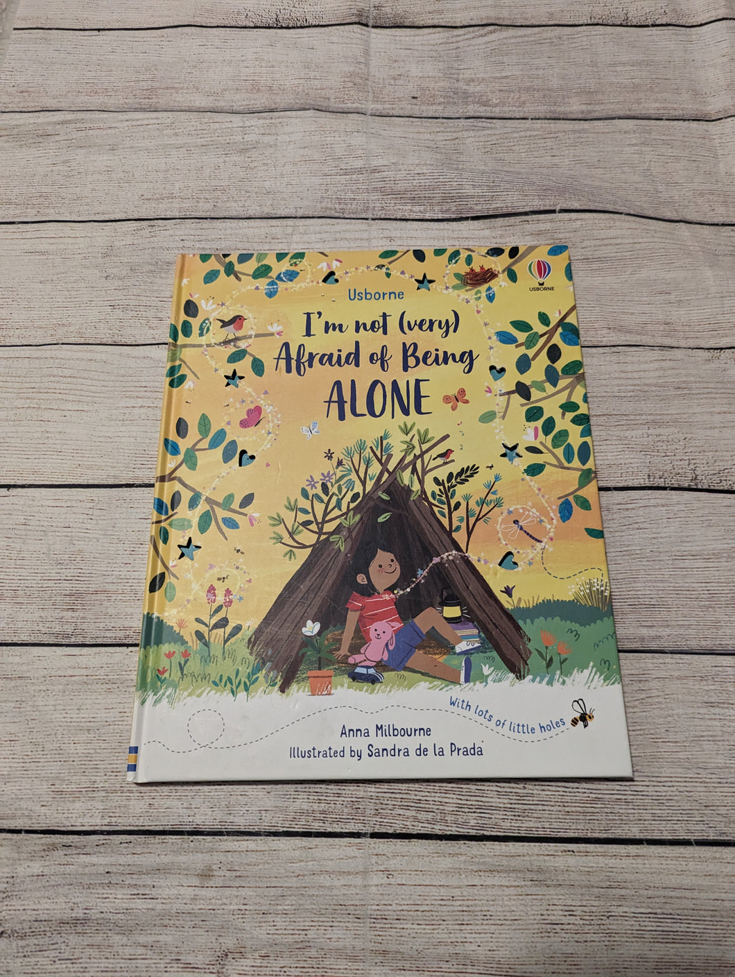 Usborne I'm not (very) Afraid of Being Alone