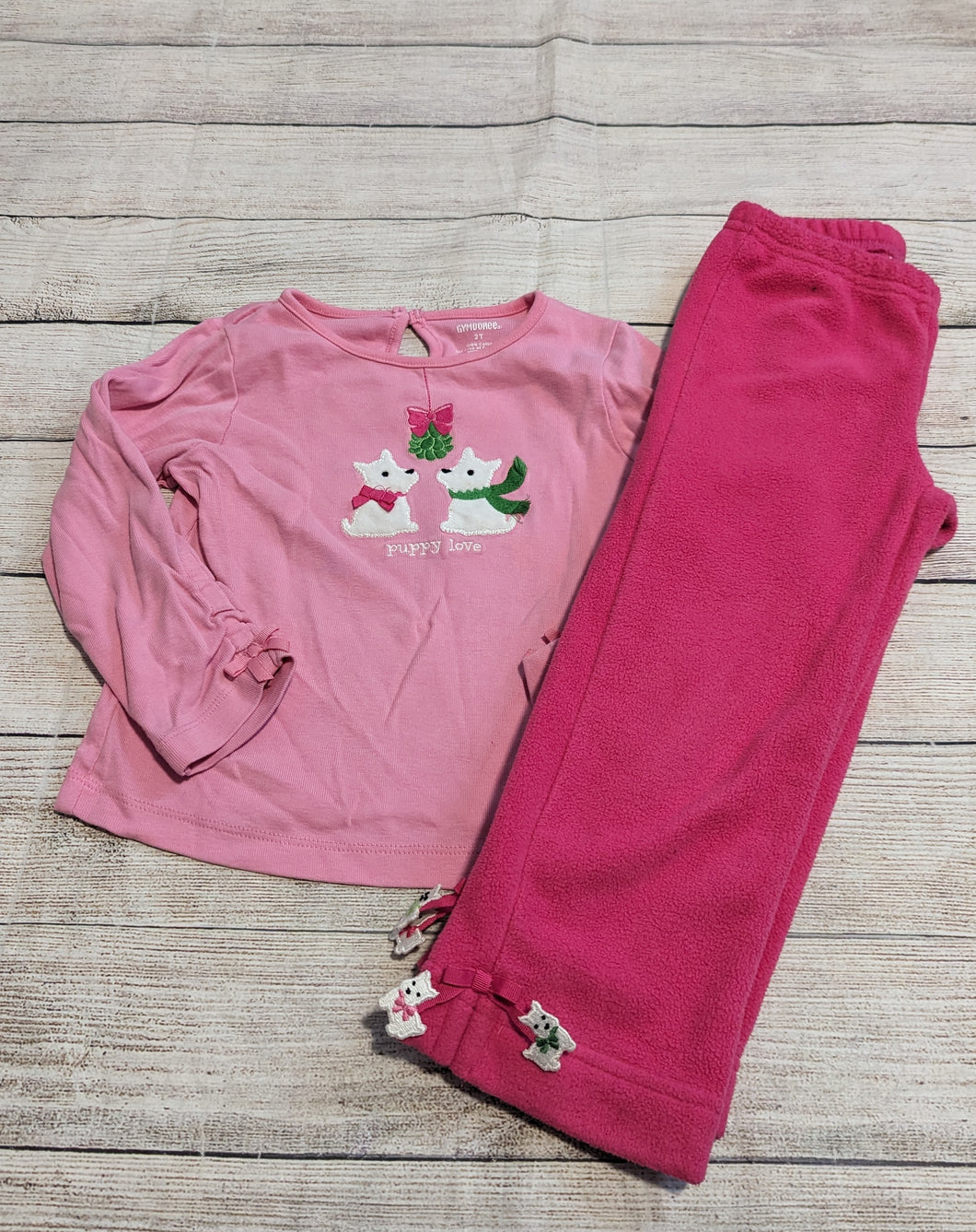 Gymboree 2T Outfit