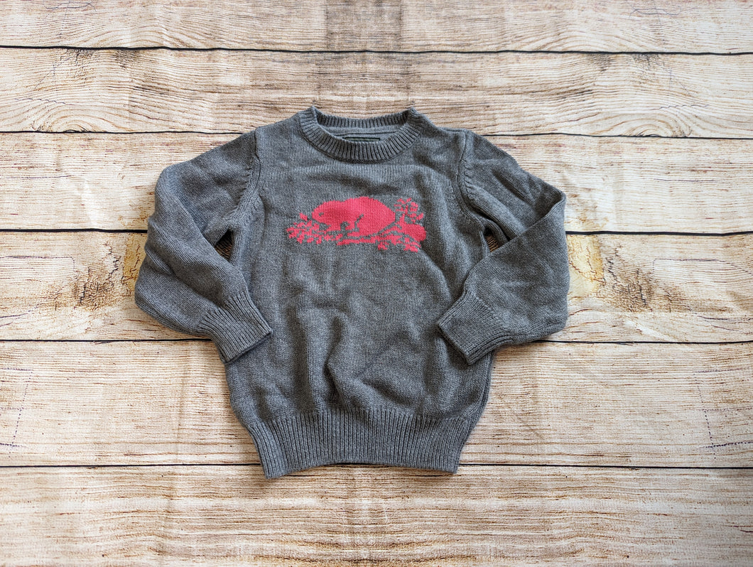 Roots 3T Sweater