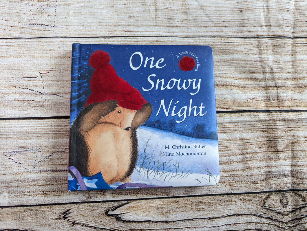 One Snowy Night