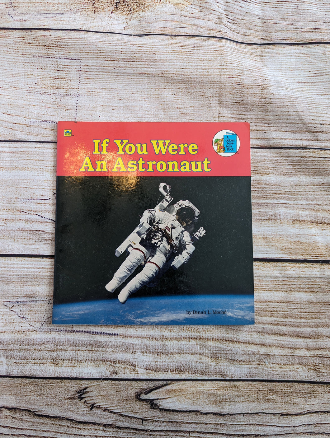 If You Were An Astronaut