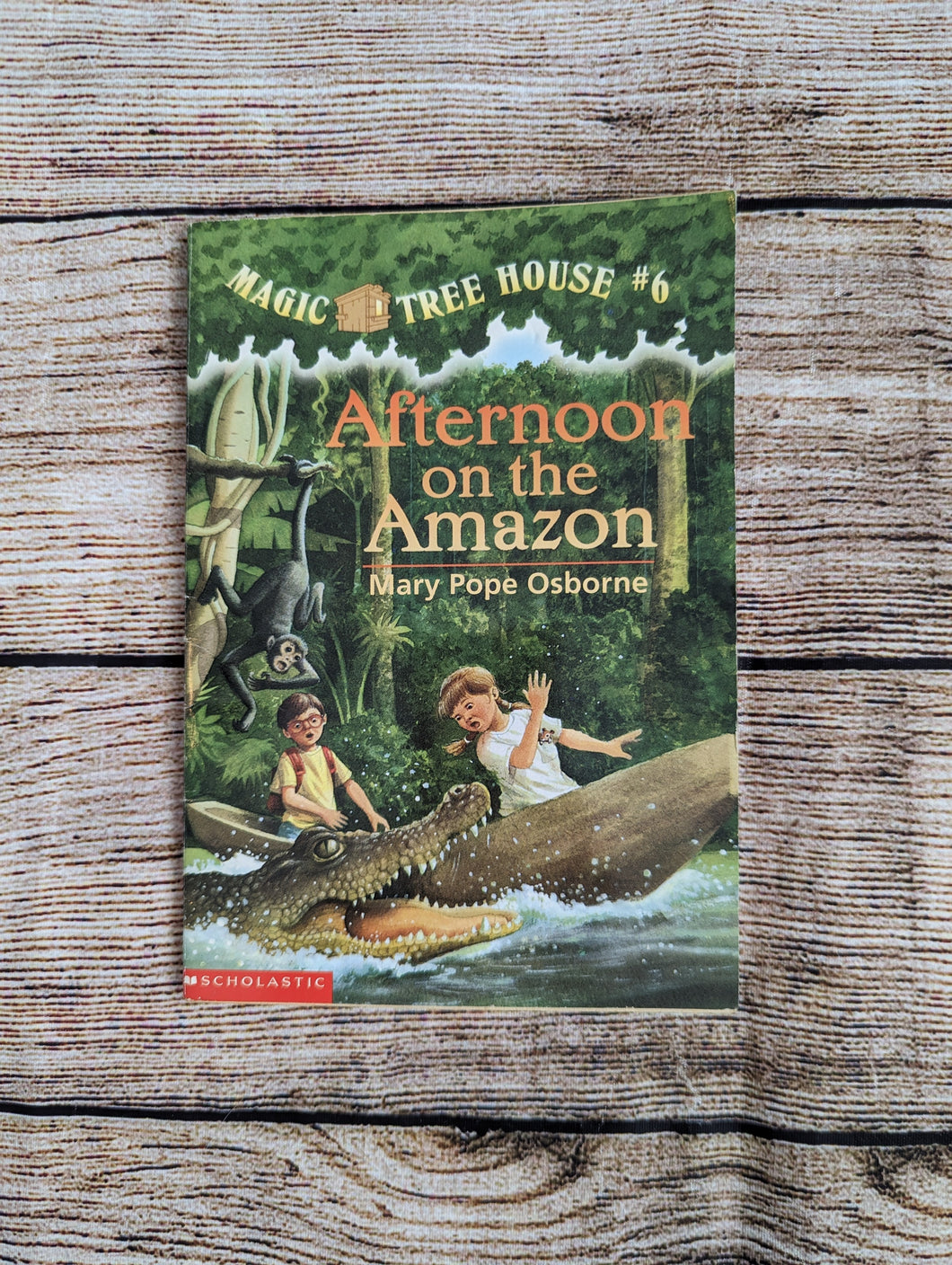 Magic Tree House book #6