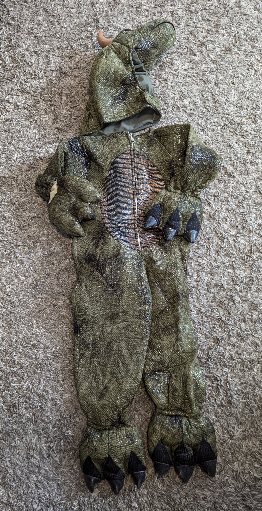 Dinosaur 5/6 Costume