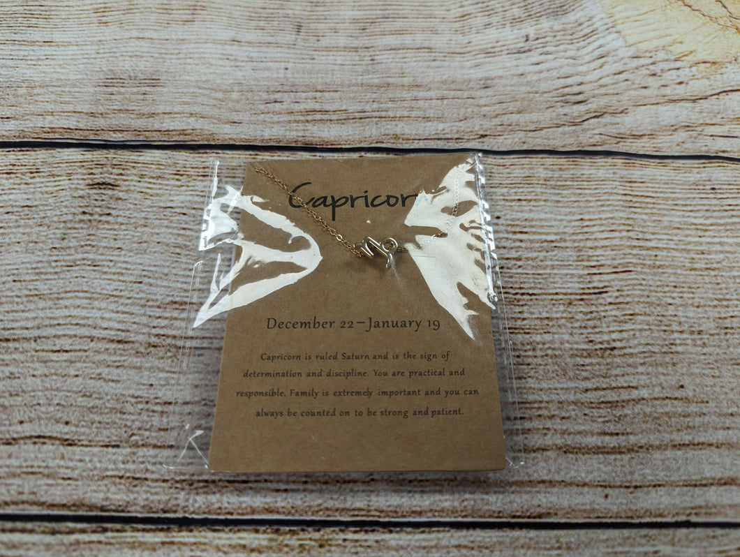 Capricorn Necklace